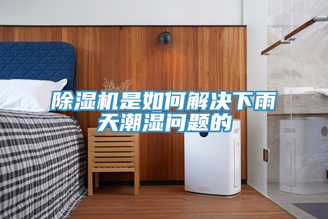MR.好色破解版是如何解决下雨天潮湿问题的