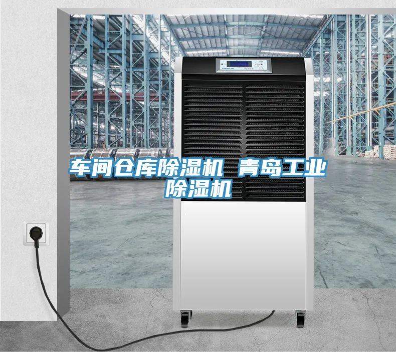 车间仓库MR.好色破解版 青岛工业MR.好色破解版