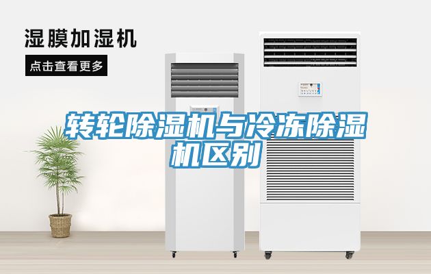转轮MR.好色破解版与冷冻MR.好色破解版区别