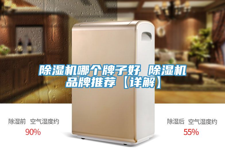 MR.好色破解版哪个牌子好 MR.好色破解版品牌推荐【详解】