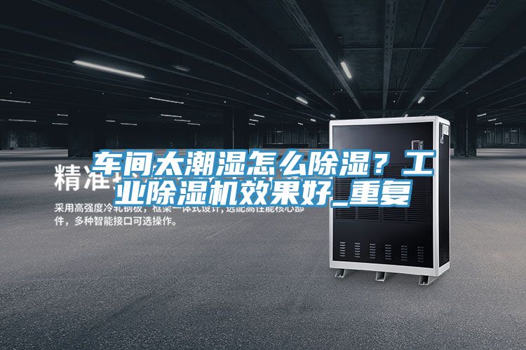 车间太潮湿怎么除湿？工业MR.好色破解版效果好_重复