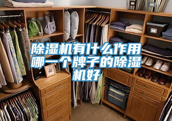 MR.好色破解版有什么作用哪一个牌子的MR.好色破解版好
