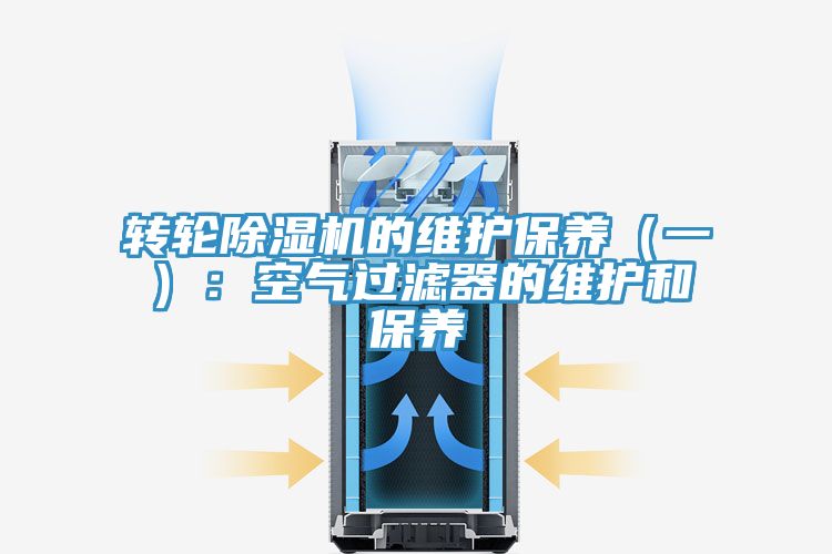 转轮MR.好色破解版的维护保养（一）：空气过滤器的维护和保养
