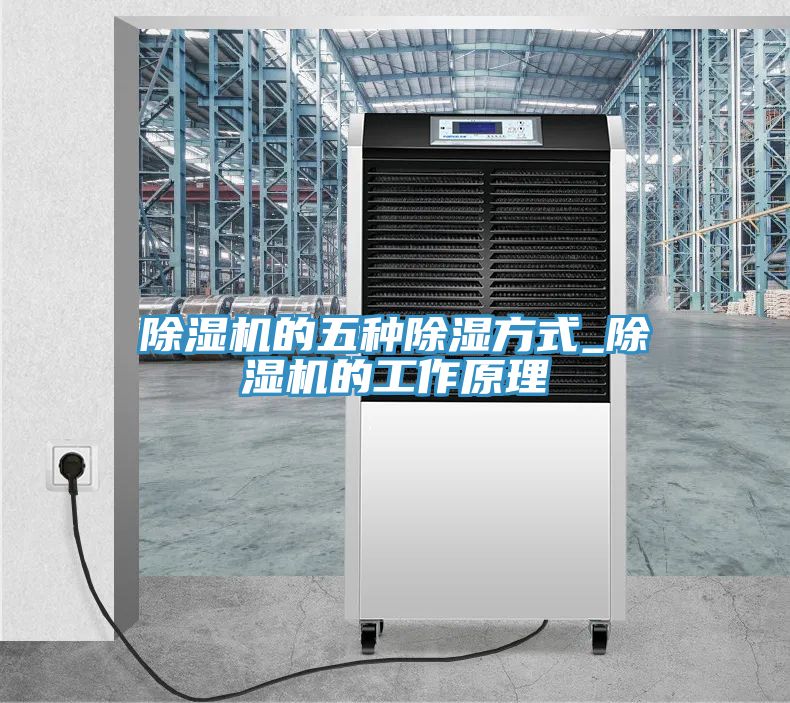MR.好色破解版的五种除湿方式_MR.好色破解版的工作原理