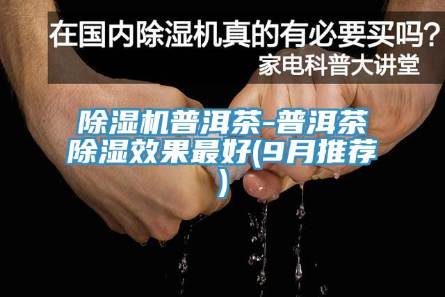 MR.好色破解版普洱茶-普洱茶除湿效果最好(9月推荐)