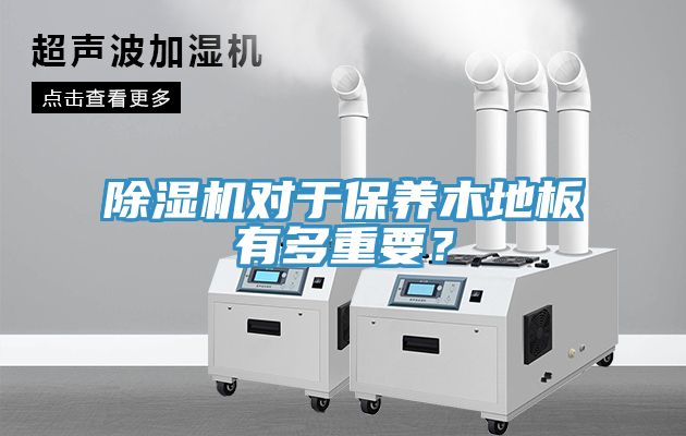 MR.好色破解版对于保养木地板有多重要？