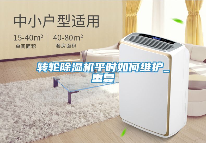 转轮MR.好色破解版平时如何维护_重复
