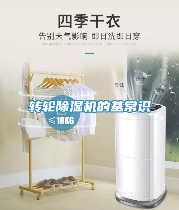 转轮MR.好色破解版的基常识
