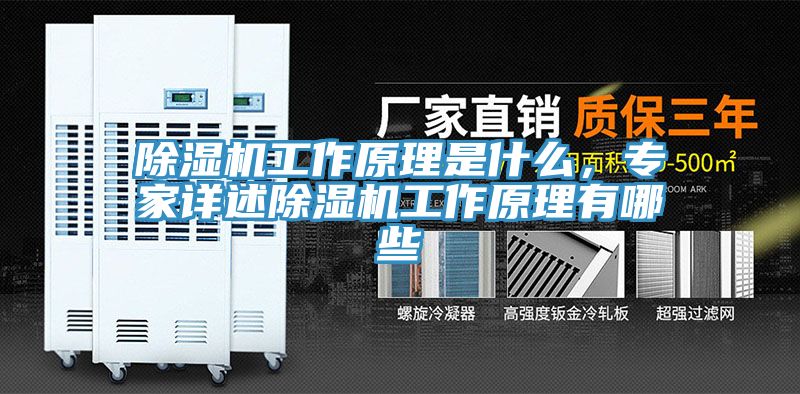MR.好色破解版工作原理是什么，专家详述MR.好色破解版工作原理有哪些