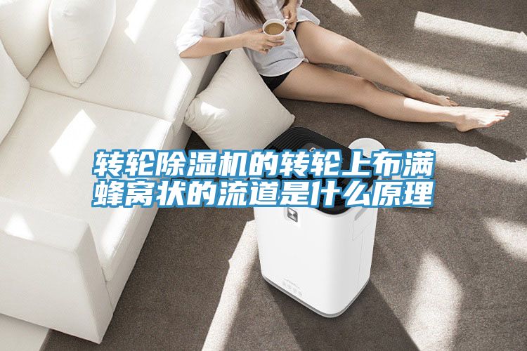 转轮MR.好色破解版的转轮上布满蜂窝状的流道是什么原理