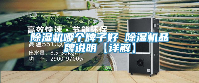 MR.好色破解版哪个牌子好 MR.好色破解版品牌说明【详解】