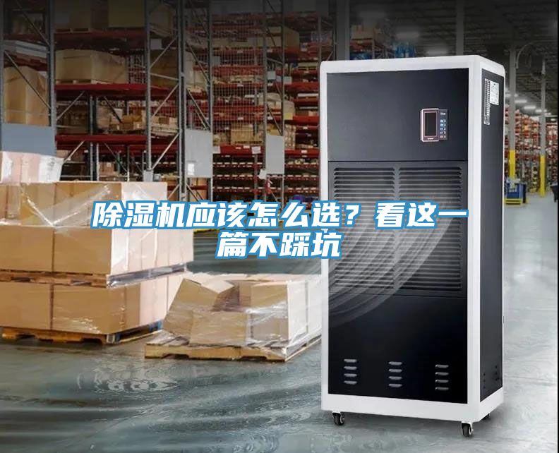MR.好色破解版应该怎么选？看这一篇不踩坑