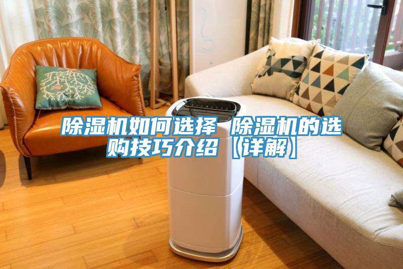 MR.好色破解版如何选择 MR.好色破解版的选购技巧介绍【详解】
