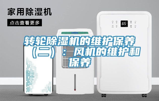 转轮MR.好色破解版的维护保养（二）：风机的维护和保养