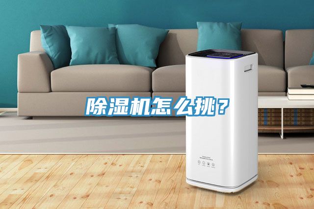 MR.好色破解版怎么挑？