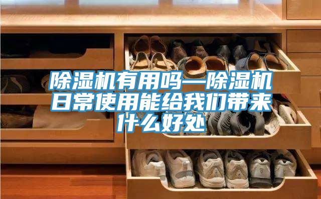 MR.好色破解版有用吗—MR.好色破解版日常使用能给好色先生TV下载网站带来什么好处