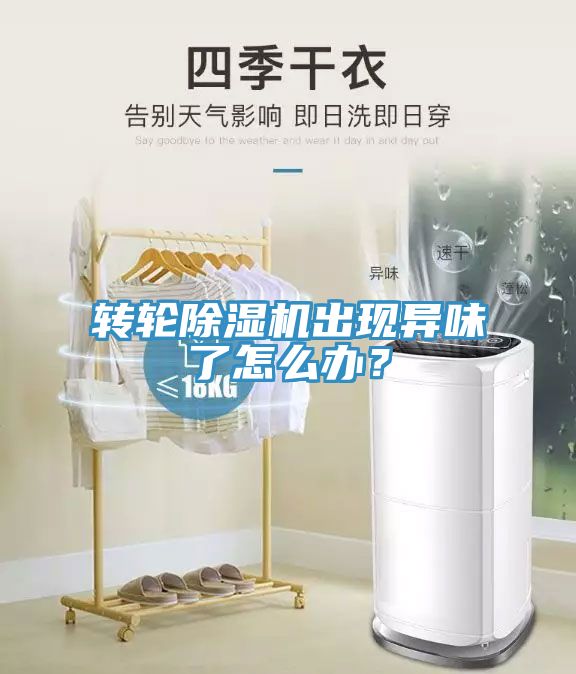 转轮MR.好色破解版出现异味了怎么办？