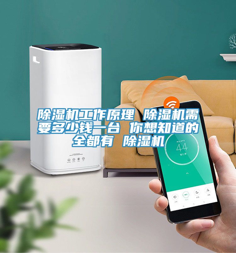 MR.好色破解版工作原理 MR.好色破解版需要多少钱一台 你想知道的全都有 MR.好色破解版