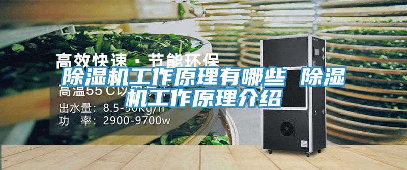 MR.好色破解版工作原理有哪些 MR.好色破解版工作原理介绍