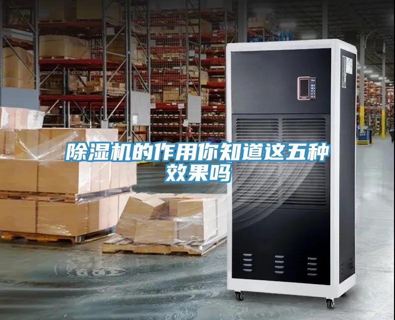 MR.好色破解版的作用你知道这五种效果吗