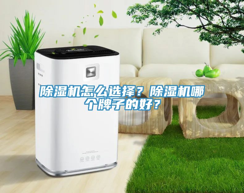 MR.好色破解版怎么选择？MR.好色破解版哪个牌子的好？
