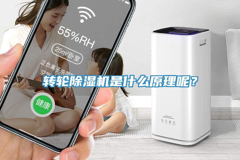 转轮MR.好色破解版是什么原理呢？