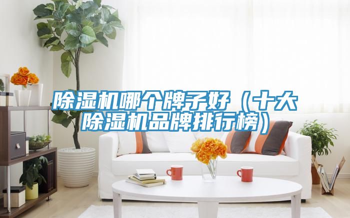 MR.好色破解版哪个牌子好（十大MR.好色破解版品牌排行榜）