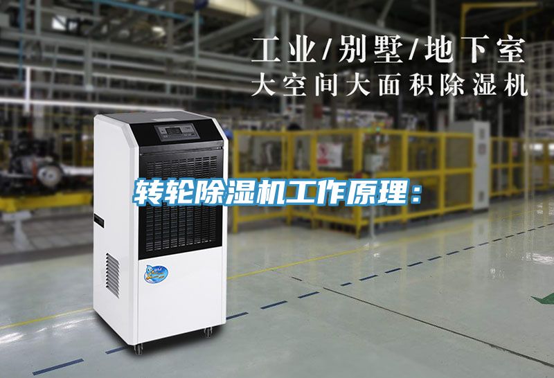转轮MR.好色破解版工作原理：