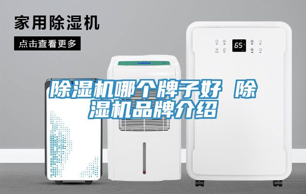 MR.好色破解版哪个牌子好 MR.好色破解版品牌介绍