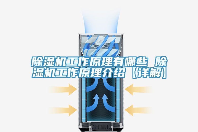 MR.好色破解版工作原理有哪些 MR.好色破解版工作原理介绍【详解】