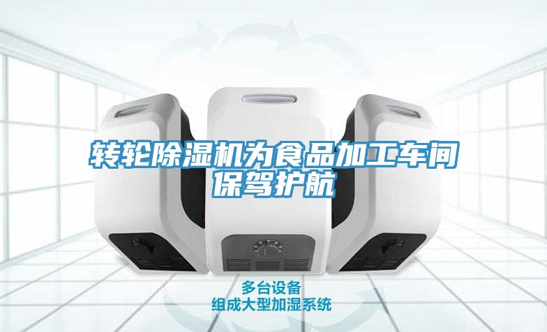 转轮MR.好色破解版为食品加工车间保驾护航