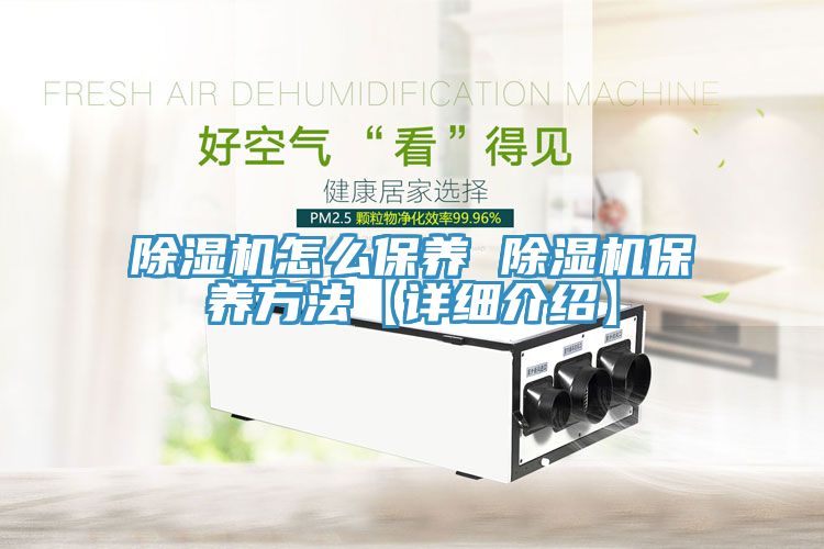 MR.好色破解版怎么保养 MR.好色破解版保养方法【详细介绍】