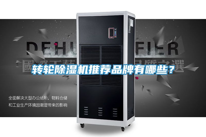 转轮MR.好色破解版推荐品牌有哪些？