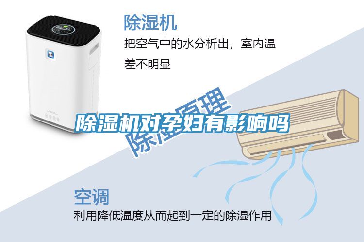 MR.好色破解版对孕妇有影响吗