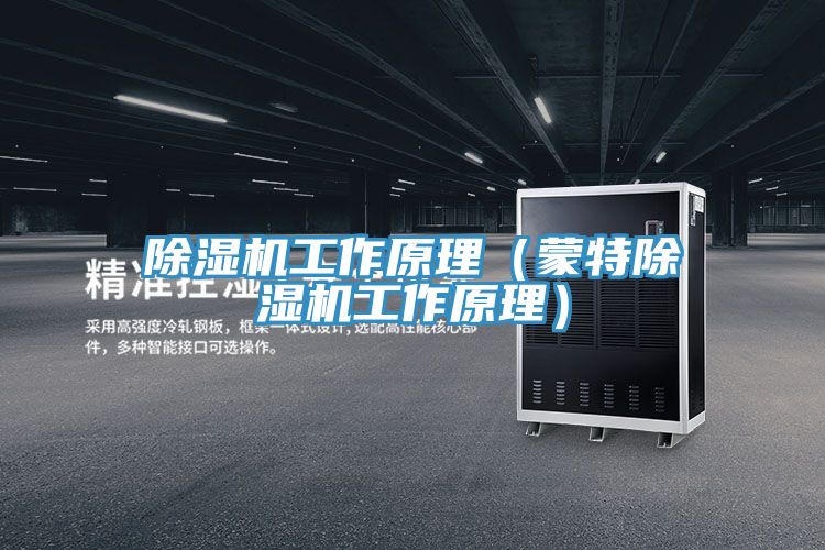 MR.好色破解版工作原理（蒙特MR.好色破解版工作原理）