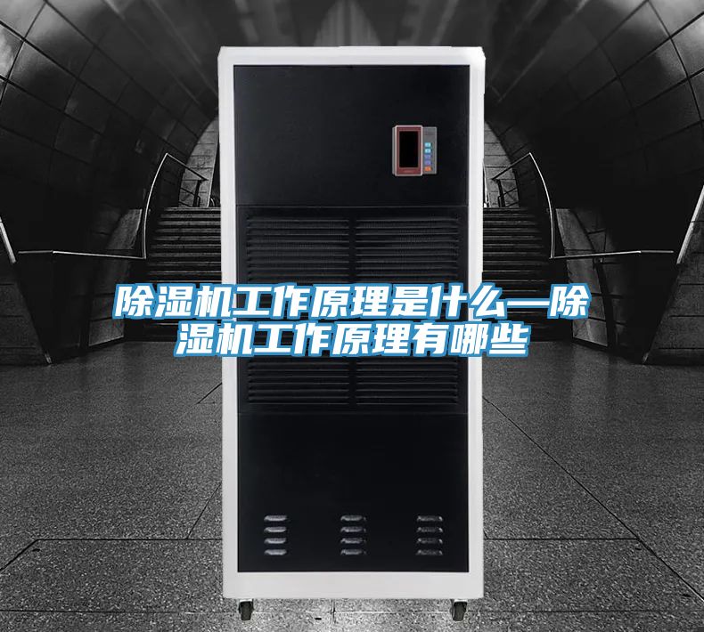 MR.好色破解版工作原理是什么—MR.好色破解版工作原理有哪些