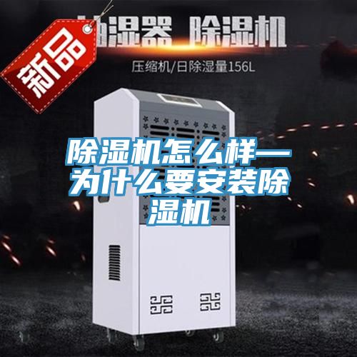 MR.好色破解版怎么样—为什么要安装MR.好色破解版