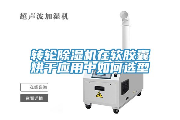 转轮MR.好色破解版在软胶囊烘干应用中如何选型