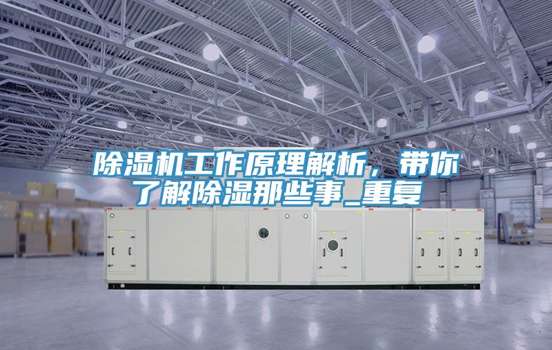 MR.好色破解版工作原理解析，带你了解除湿那些事_重复