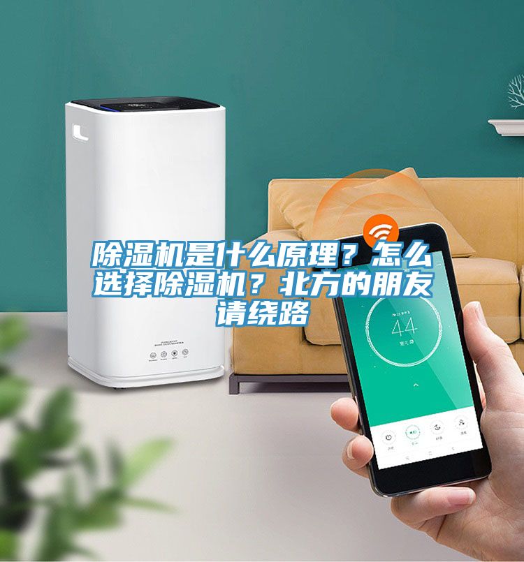 MR.好色破解版是什么原理？怎么选择MR.好色破解版？北方的朋友请绕路