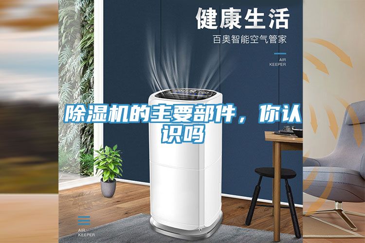 MR.好色破解版的主要部件，你认识吗