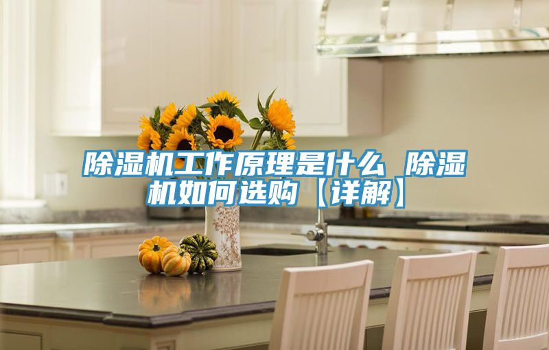 MR.好色破解版工作原理是什么 MR.好色破解版如何选购【详解】