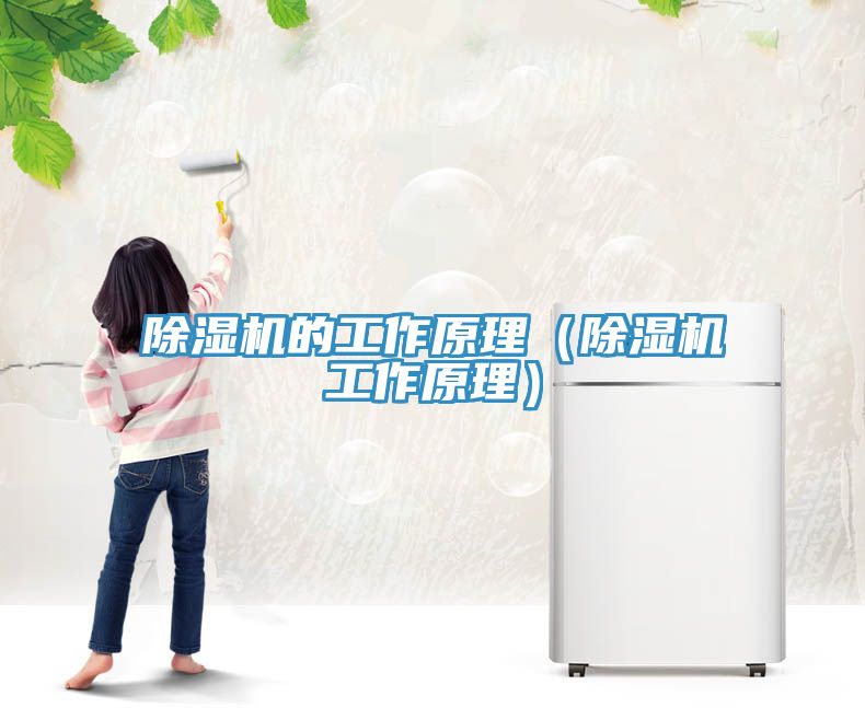 MR.好色破解版的工作原理（MR.好色破解版工作原理）