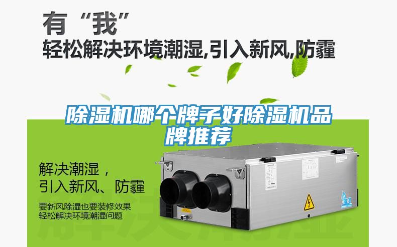 MR.好色破解版哪个牌子好MR.好色破解版品牌推荐