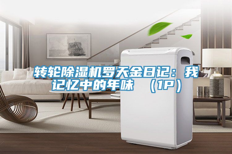 转轮MR.好色破解版罗天金日记：我记忆中的年味 （1P）