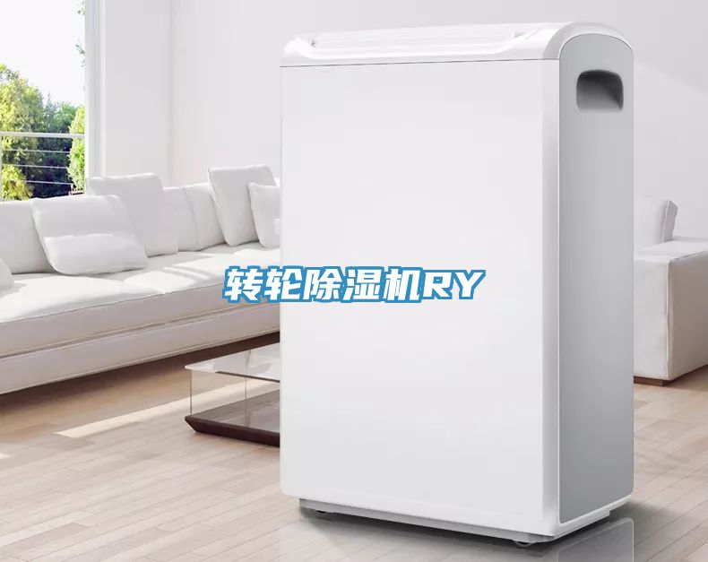 转轮MR.好色破解版RY