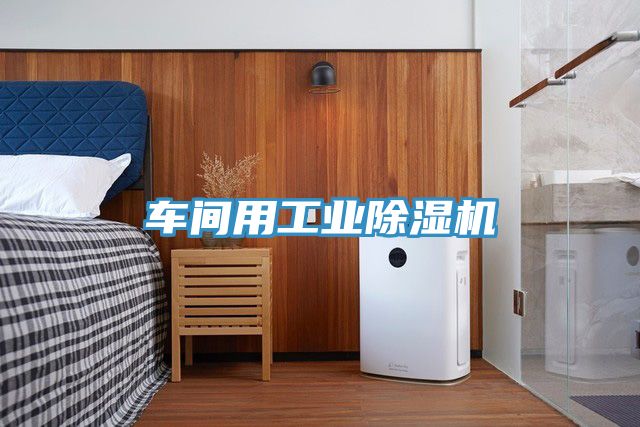 车间用工业MR.好色破解版