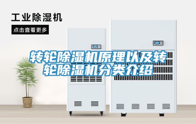 转轮MR.好色破解版原理以及转轮MR.好色破解版分类介绍