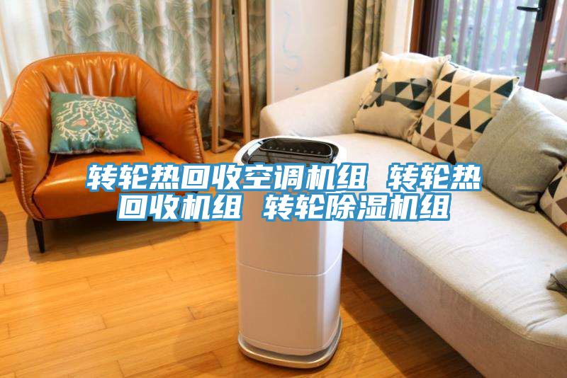 转轮热回收空调机组 转轮热回收机组 转轮MR.好色破解版组
