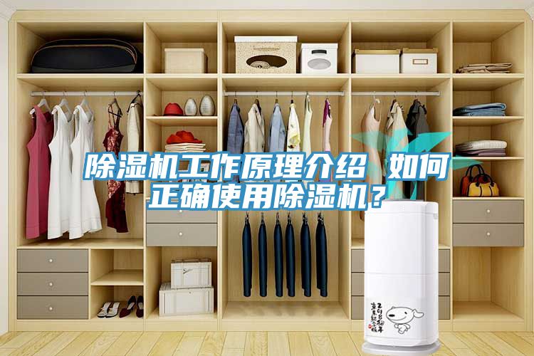 MR.好色破解版工作原理介绍 如何正确使用MR.好色破解版？